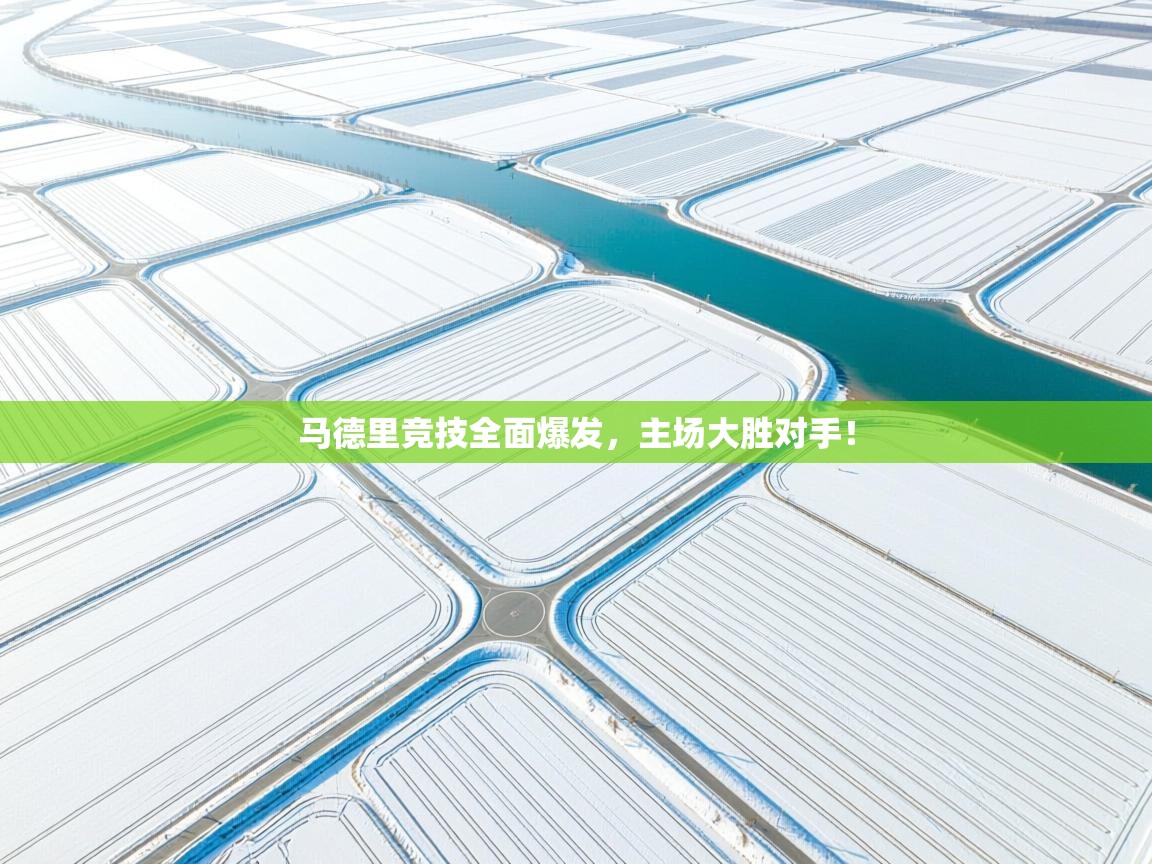 开云体育app网页版入口-马德里竞技全面爆发，主场大胜对手！  第3张