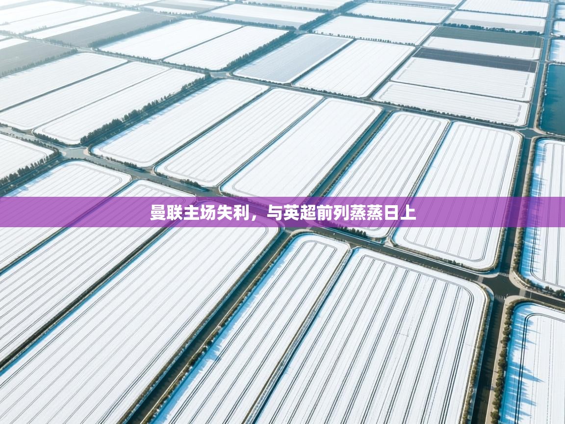 开云体育苹果版下载-曼联主场失利，与英超前列蒸蒸日上  第2张