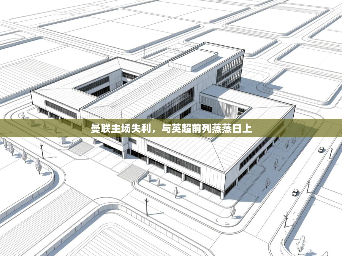 开云体育苹果版下载-曼联主场失利，与英超前列蒸蒸日上  第4张