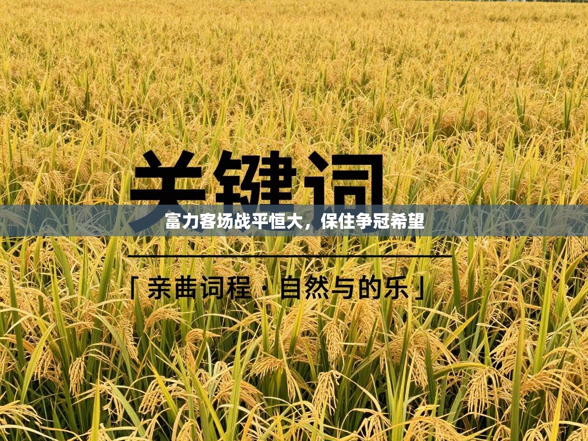 开云体育登录入口-富力客场战平恒大，保住争冠希望  第2张